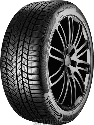 Купить CONTINENTAL 0355639 Шины Continental CONTIWINTERCONTACT TS850P 255/45R20 101T BS