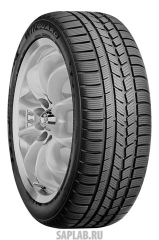 Купить ROADSTONE 13101 Шины ROADSTONE WINGUARD SPORT 215/50 R17 95V (до 240 км/ч) 13101